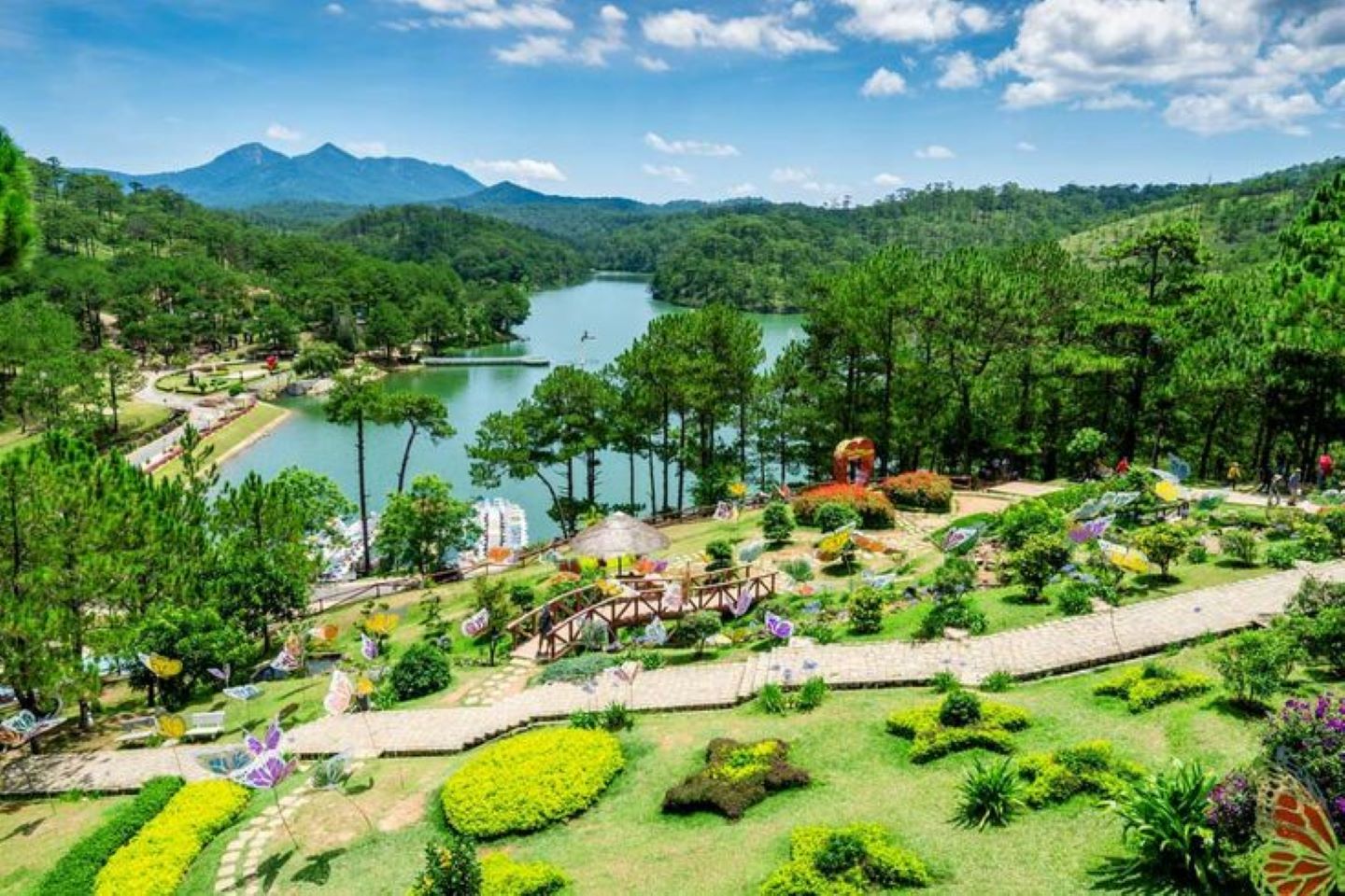 Discover Da Lat Tour in One Day | From Mui Ne