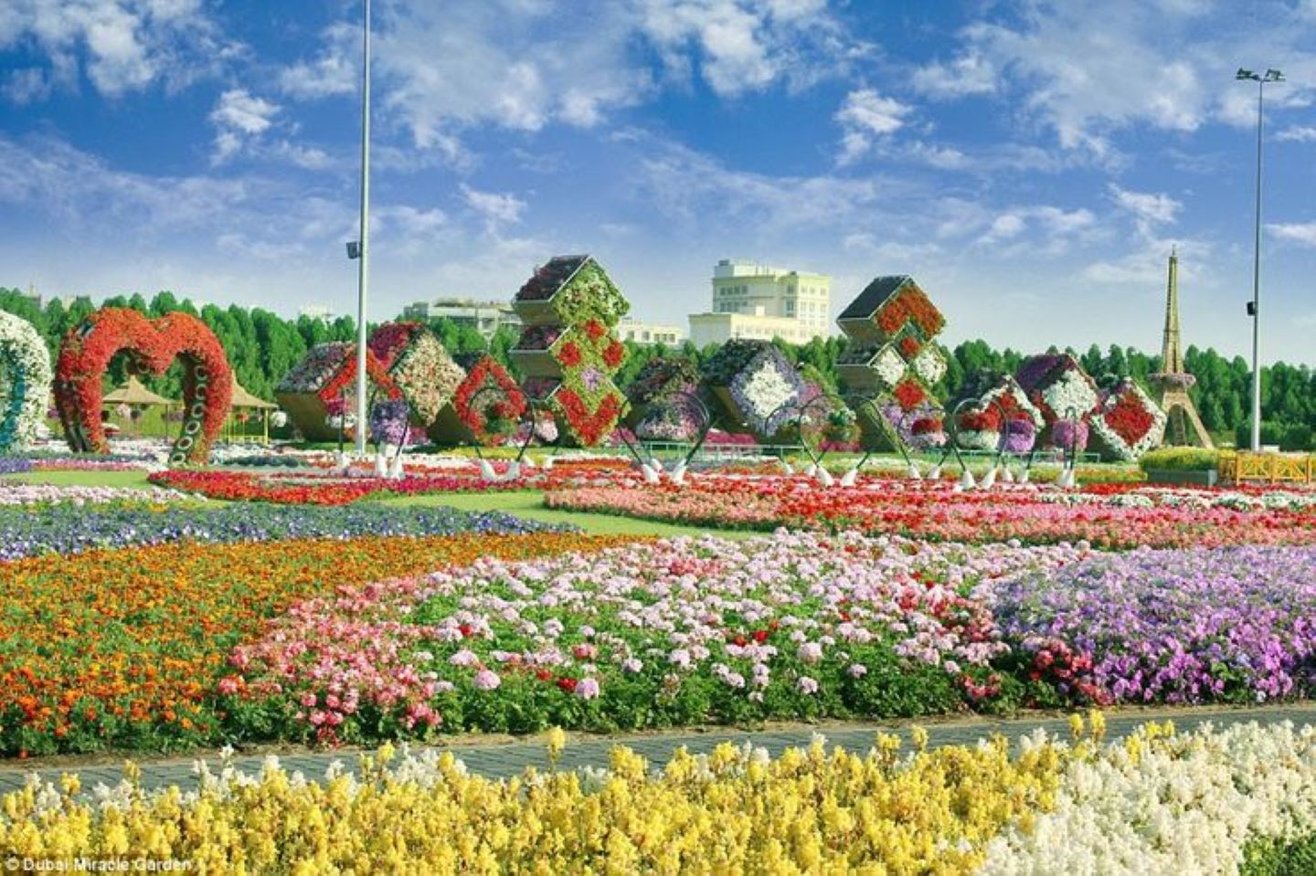 Discover Da Lat Tour in One Day | From Mui Ne